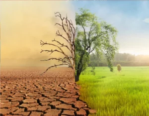 Climate change