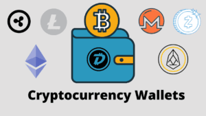 A Comprehensive Guide to Wallets