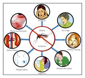 Malaria symptoms