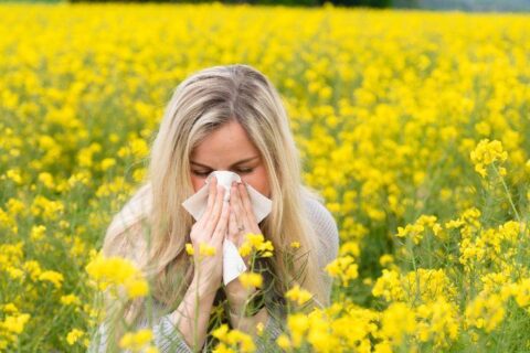 How to Prevent Pollen Allergy Symptoms